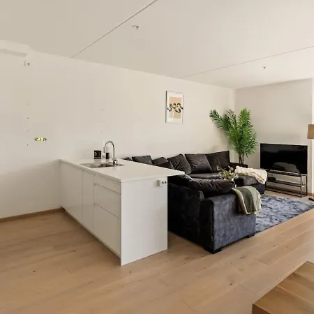 Modern Flat In The Center * 톤스버그